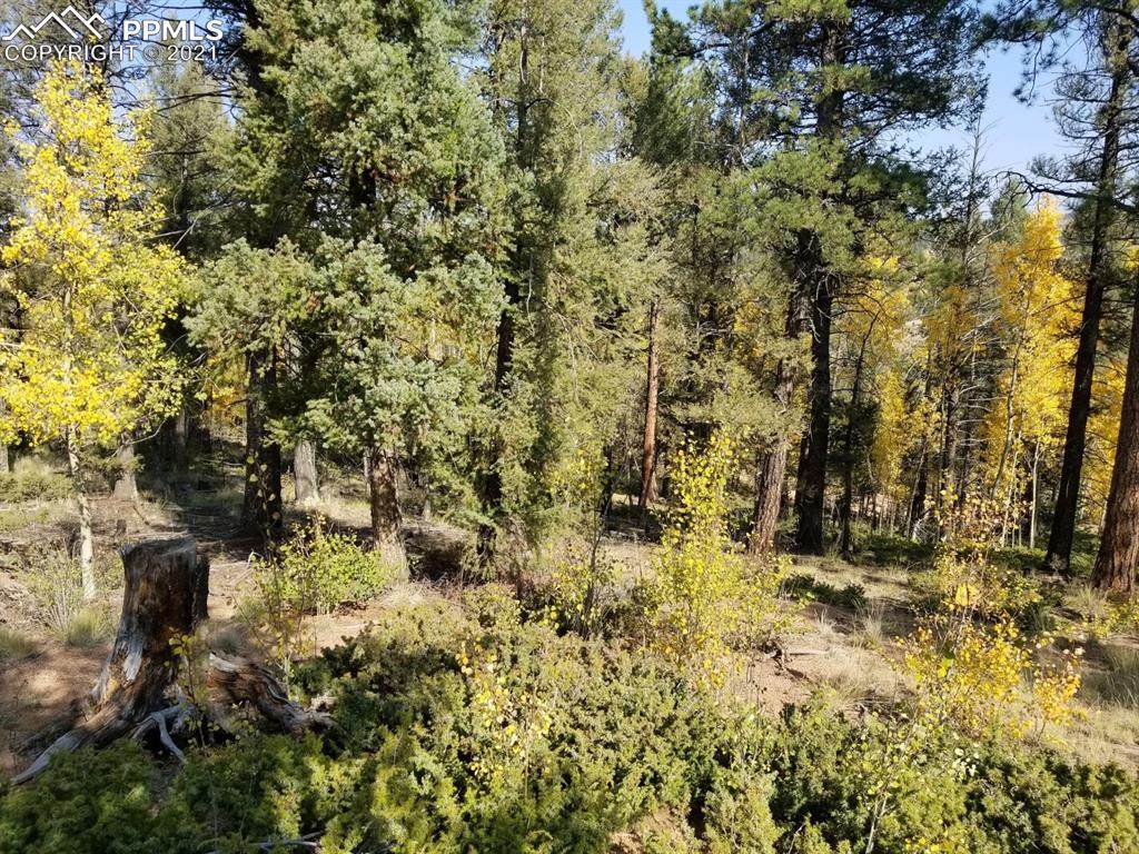 912 Derby Drive - Photo 1