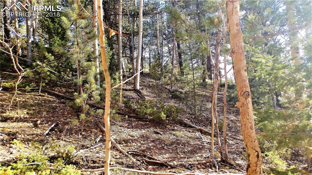 741 Pikes Peak Drive - Photo 1