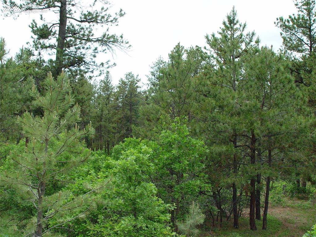 1469 Gore Drive - Photo 1