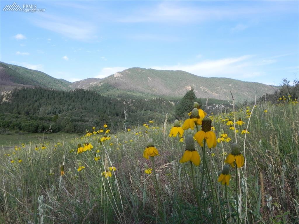 4979 Echo Valley Road - Photo 1