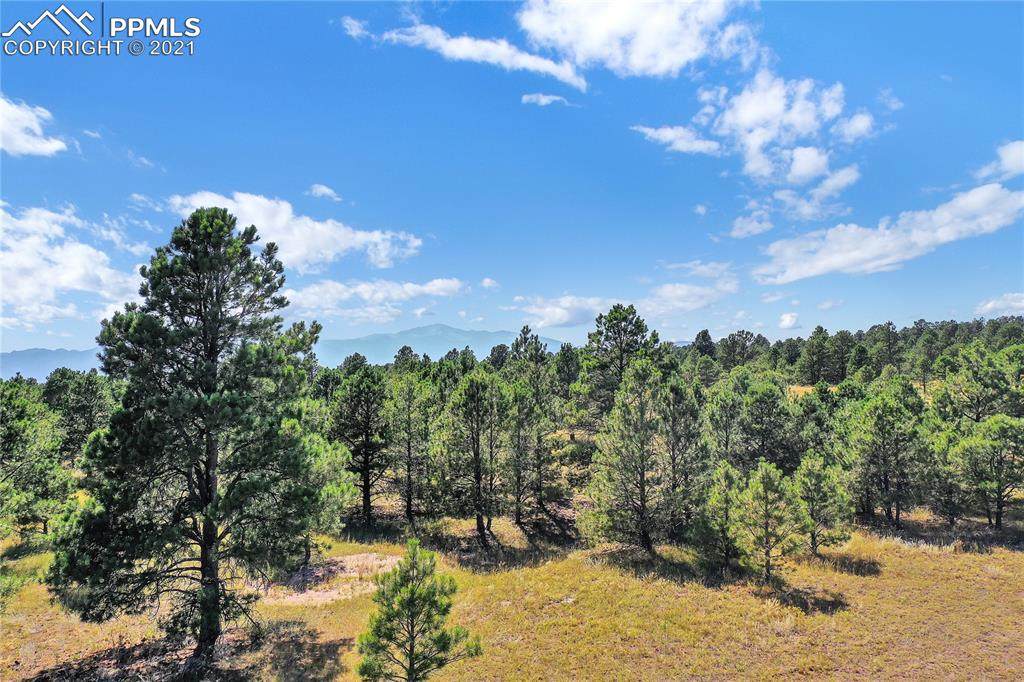 8580 Forest Line Point - Photo 1