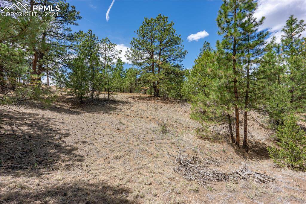 00 Pine Lane - Photo 1