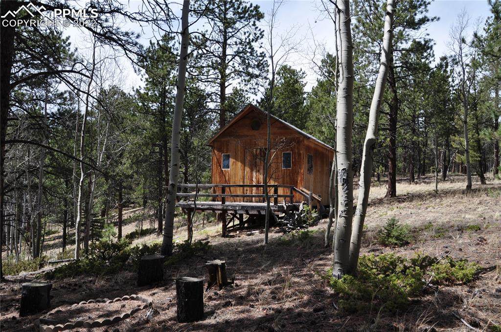 1181 Bison Creek Trail - Photo 1