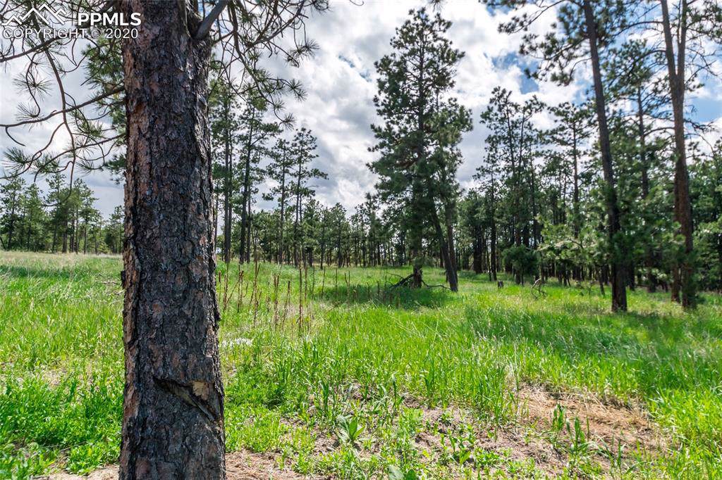 19405 Hilltop Pines Path - Photo 1