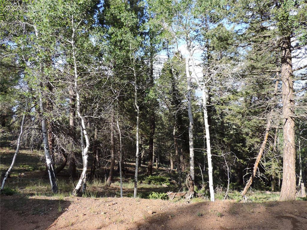 52 Ridge Circle - Photo 1