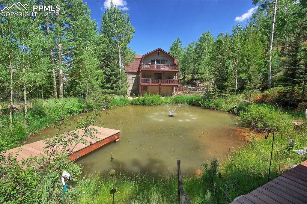 6250 Waterfall Loop - Photo 1