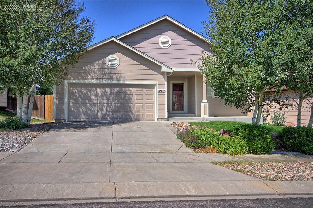 3993 Happy Jack Drive - Photo 1