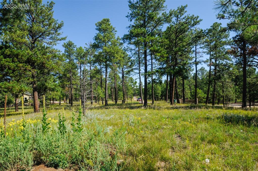16224 Pole Pine Point - Photo 1
