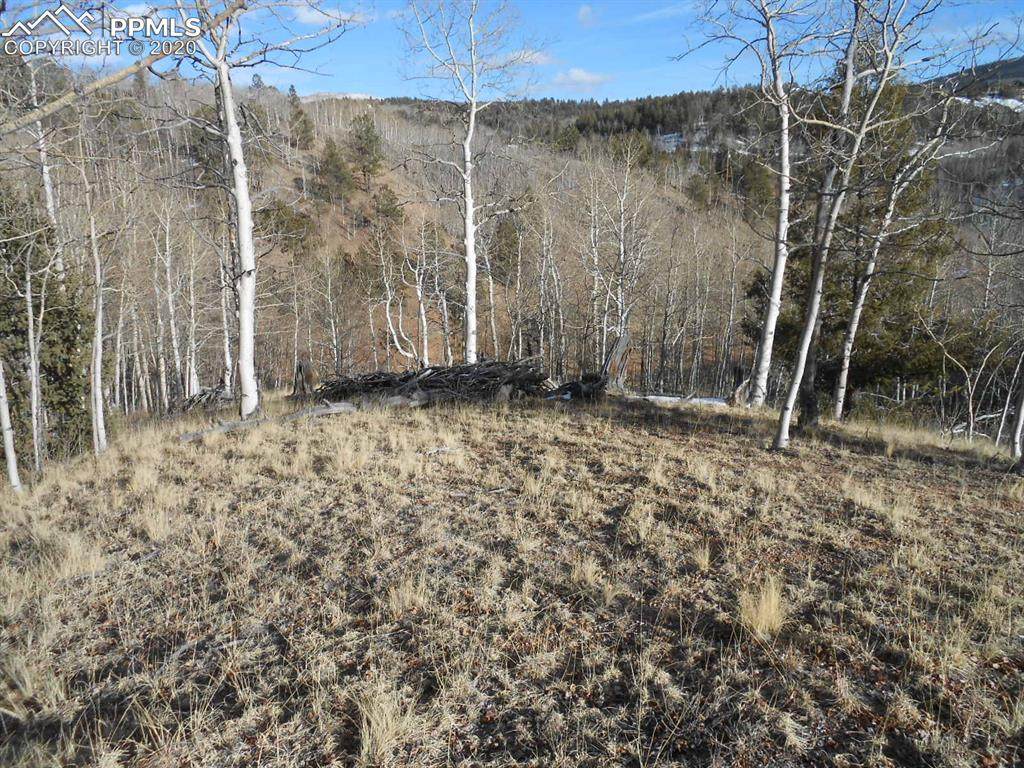 137 No Name Lane - Photo 1
