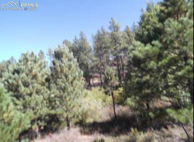 3037 County Road 33 Road - Photo 1