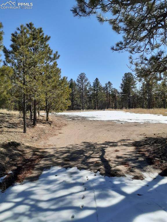 8975 Hardin Road - Photo 1
