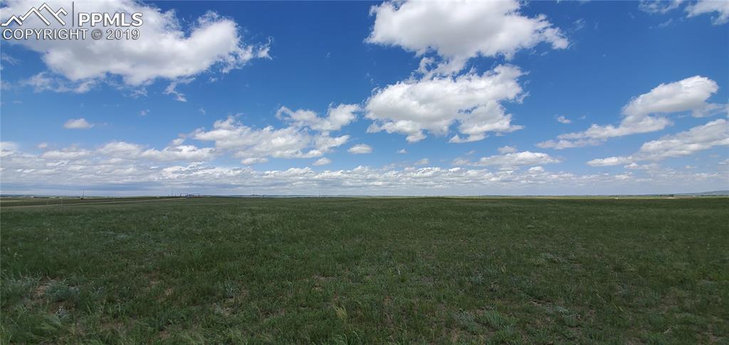 8317 Buckskin Ranch View - Photo 1