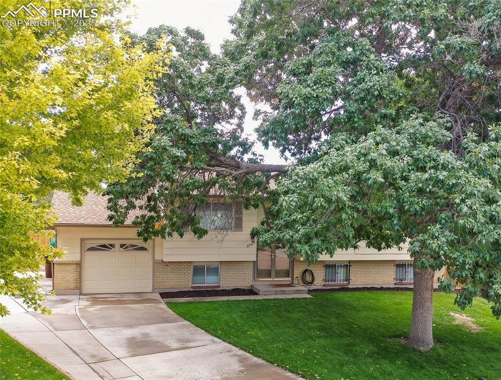 6865 Arctic Place - Photo 1