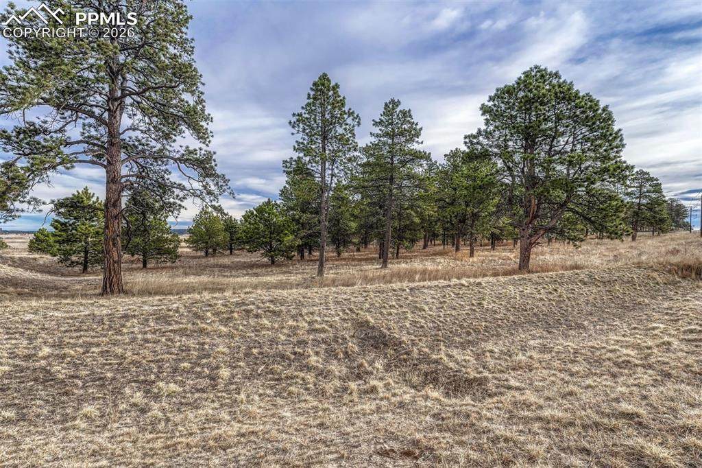 16511 Early Light Drive - Photo 1