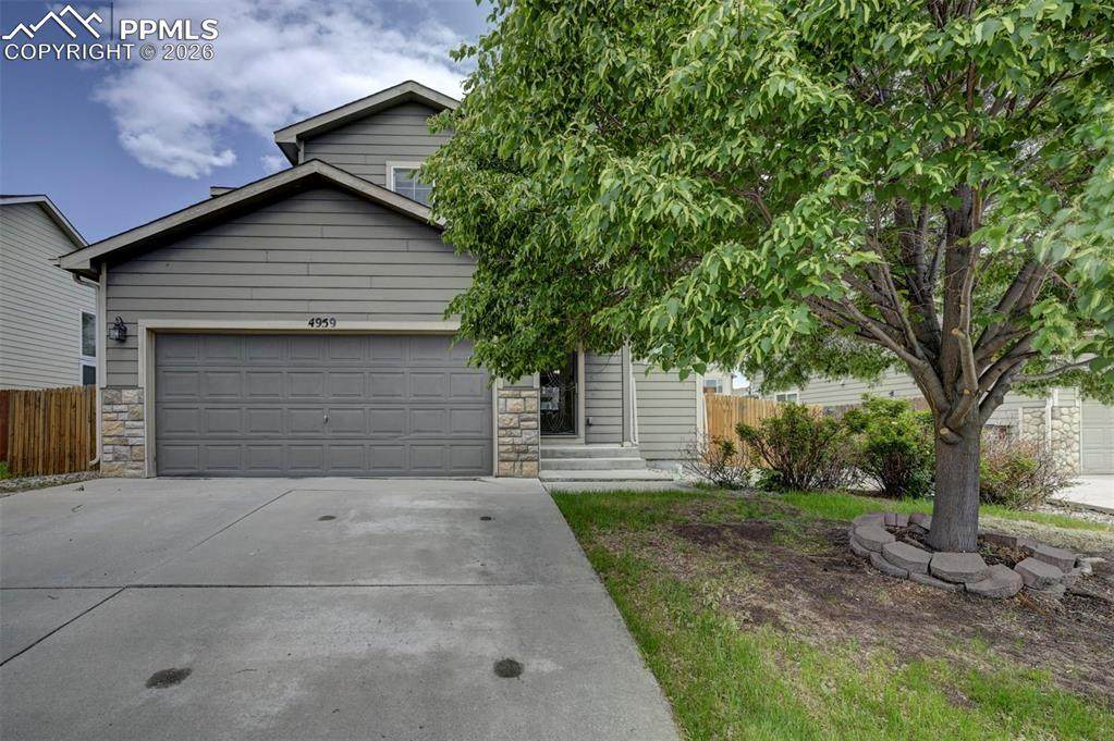 4959 Gami Way - Photo 1