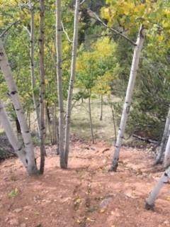 741 Calcite Drive - Photo 1