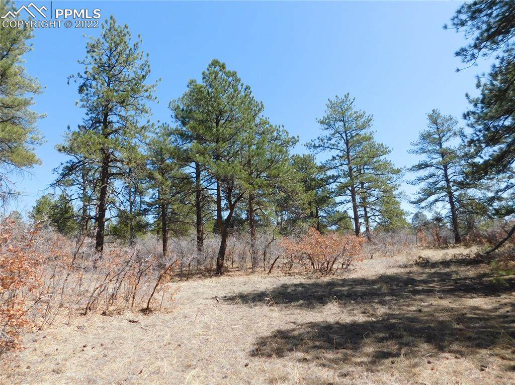 1989 Spring Beauty Lane - Photo 1