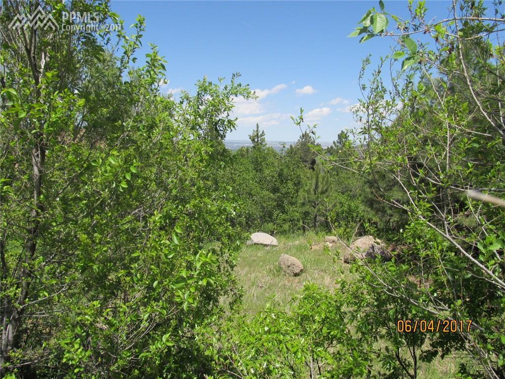 367 Irvington Court - Photo 1