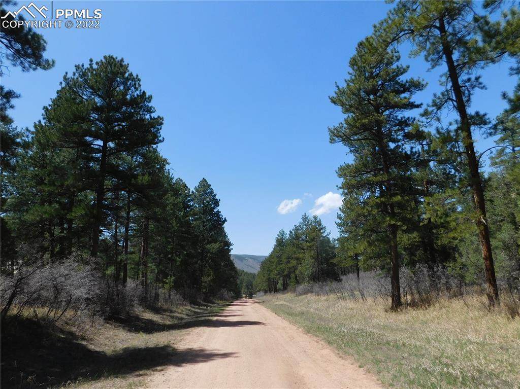 4875 Mohawk Drive - Photo 1