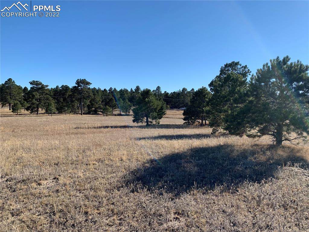 11809 Flap Jack Lane - Photo 1