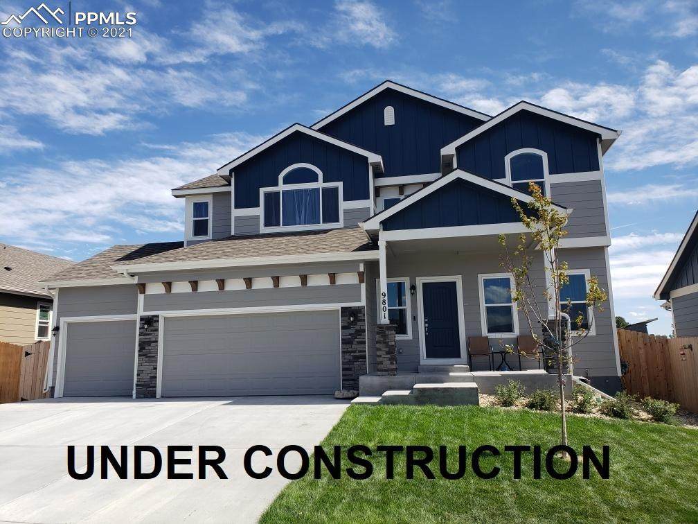 6706 Volga Drive - Photo 1