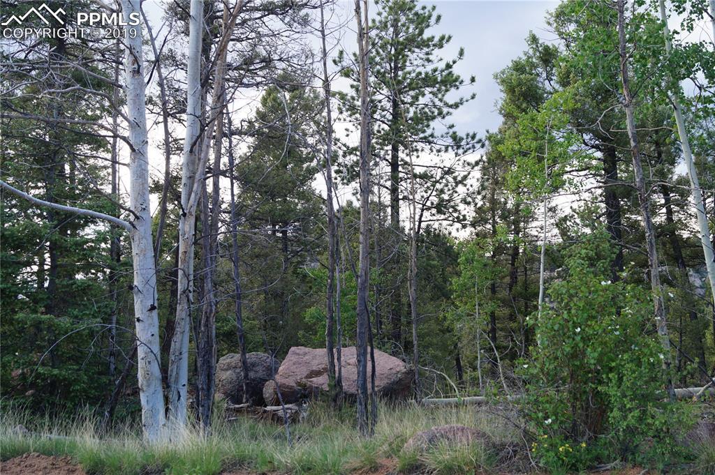 3578 Mountain Estates Road - Photo 1