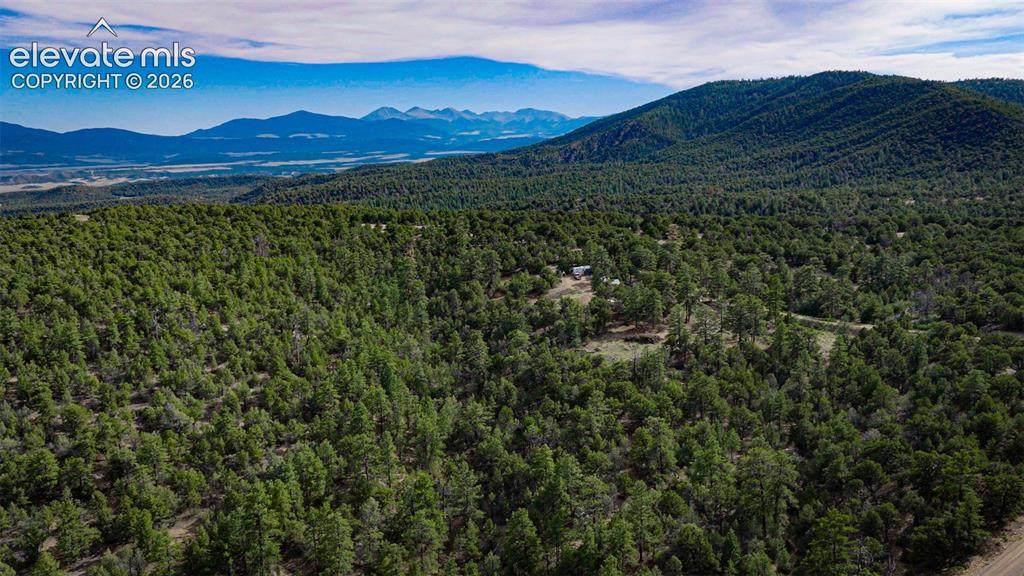 Lot 3 County Road 634.2 - Photo 1