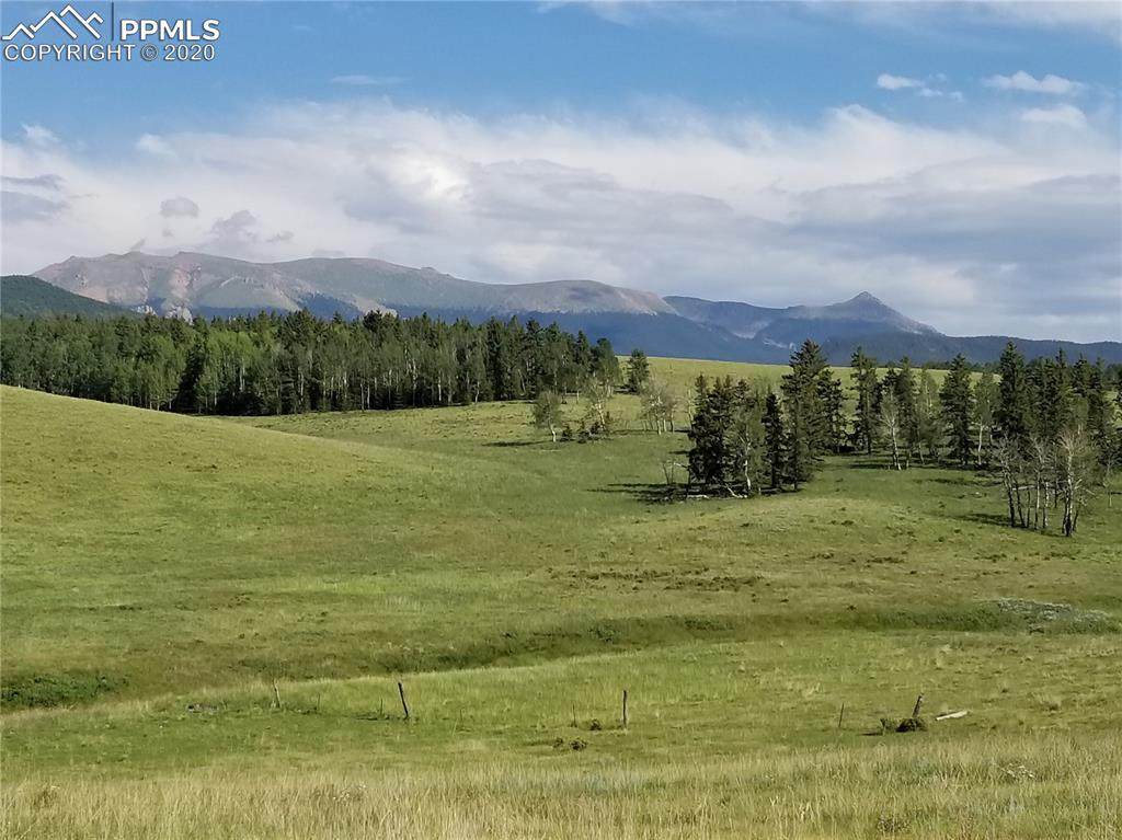 TBD Highway 67 Highway - Photo 1