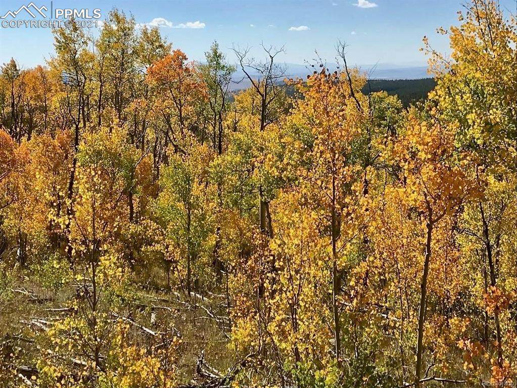 000 County Road 665 Road - Photo 1