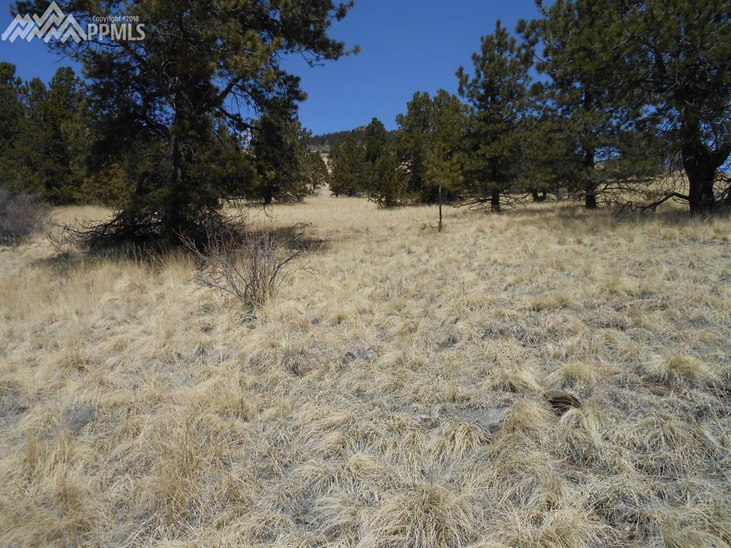 1055 Copper Mountain Drive - Photo 1