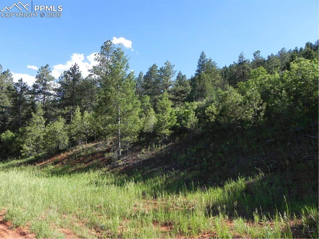 8117 Acoma Drive - Photo 1