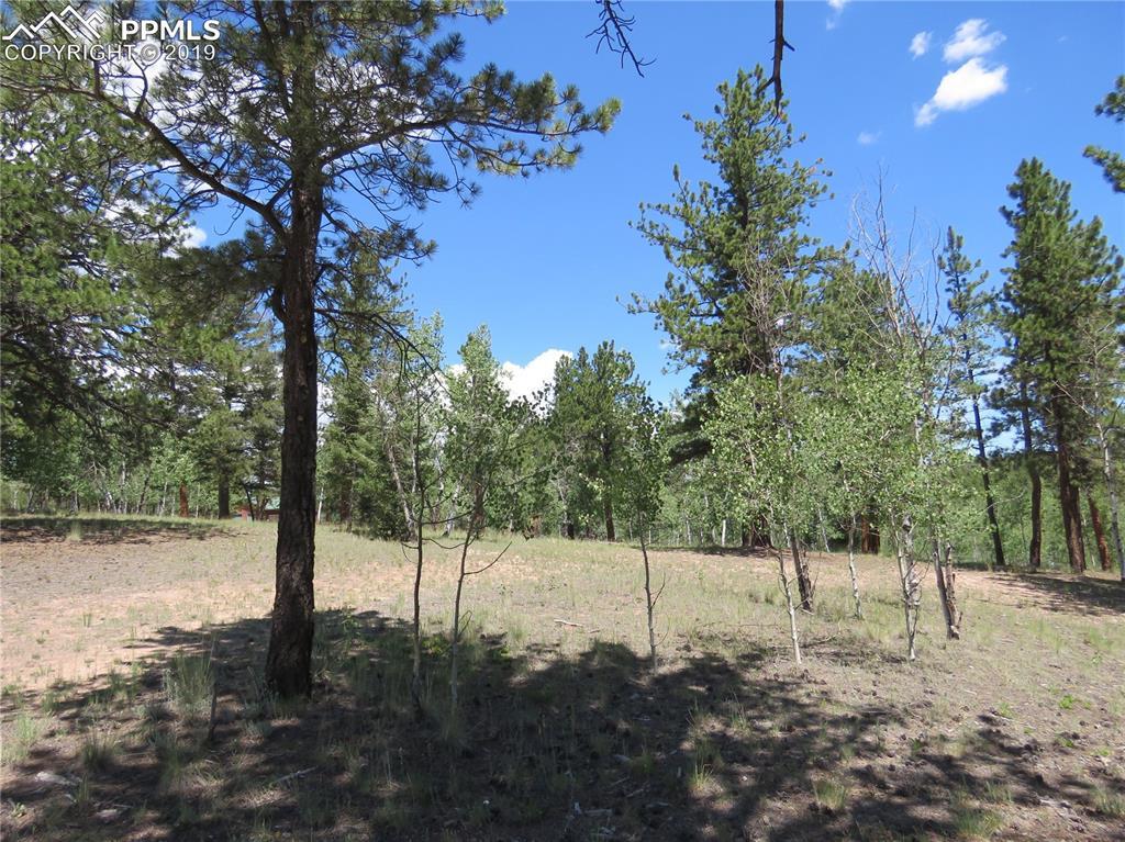 43 Harness Trail - Photo 1