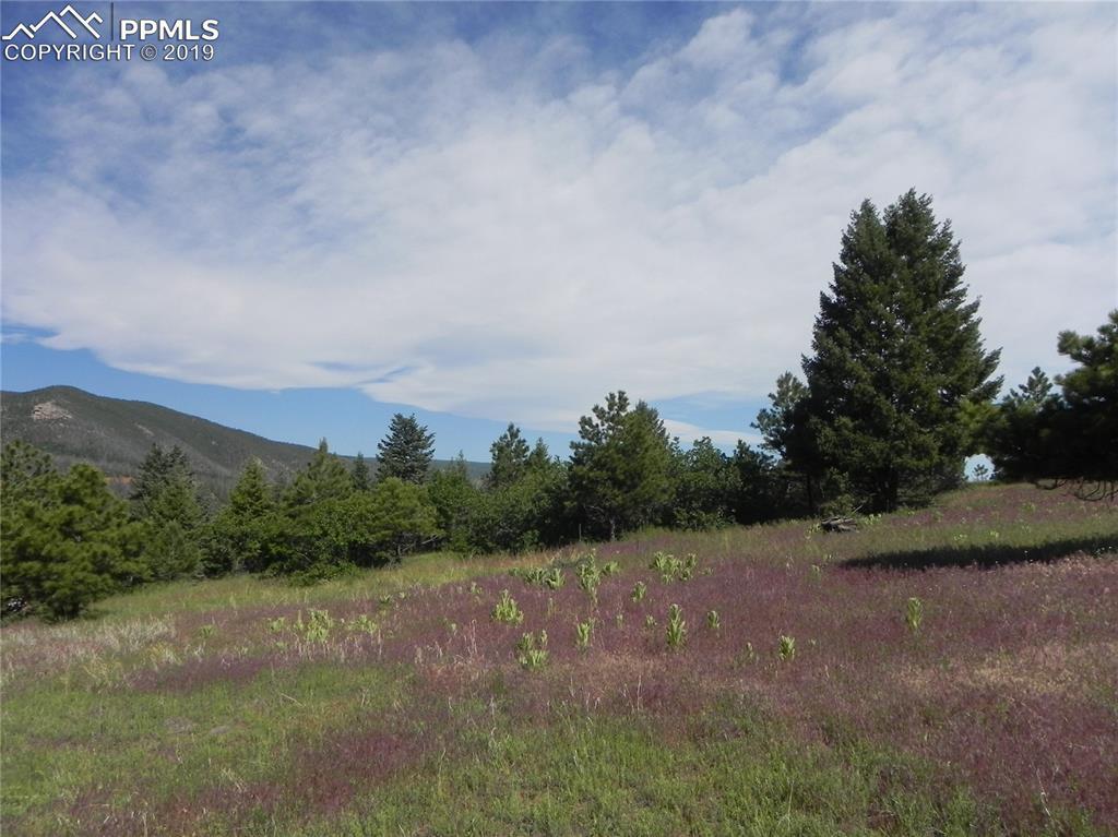 4615 Delaware Drive - Photo 1