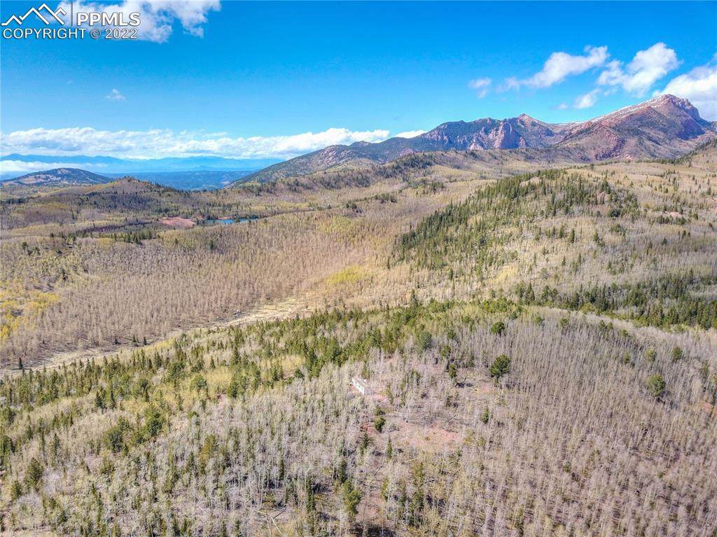 TBD County Road 81 Road - Photo 1