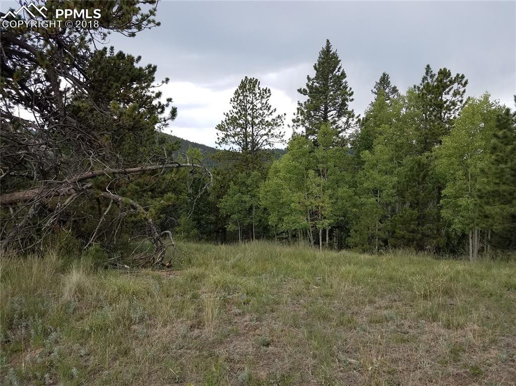 195 Bennett Drive - Photo 1