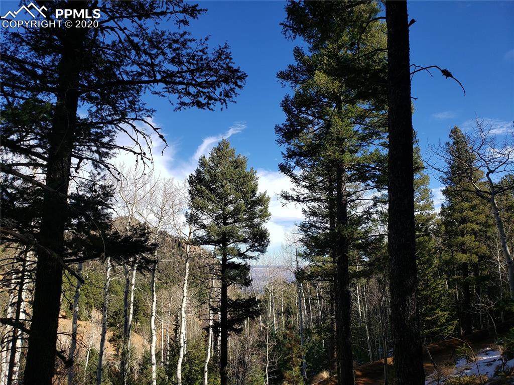 329 Waterfall Loop - Photo 1