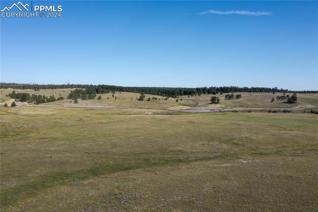 11440 Alamar Way - Photo 1