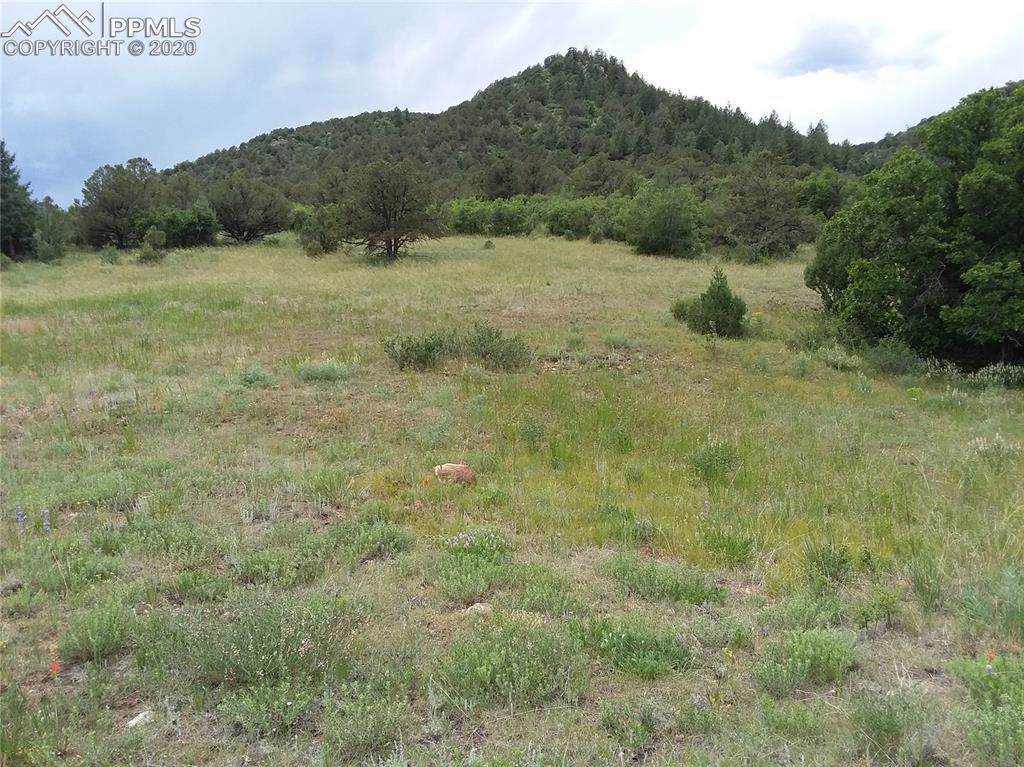 Lot 27 Backacres Road - Photo 1
