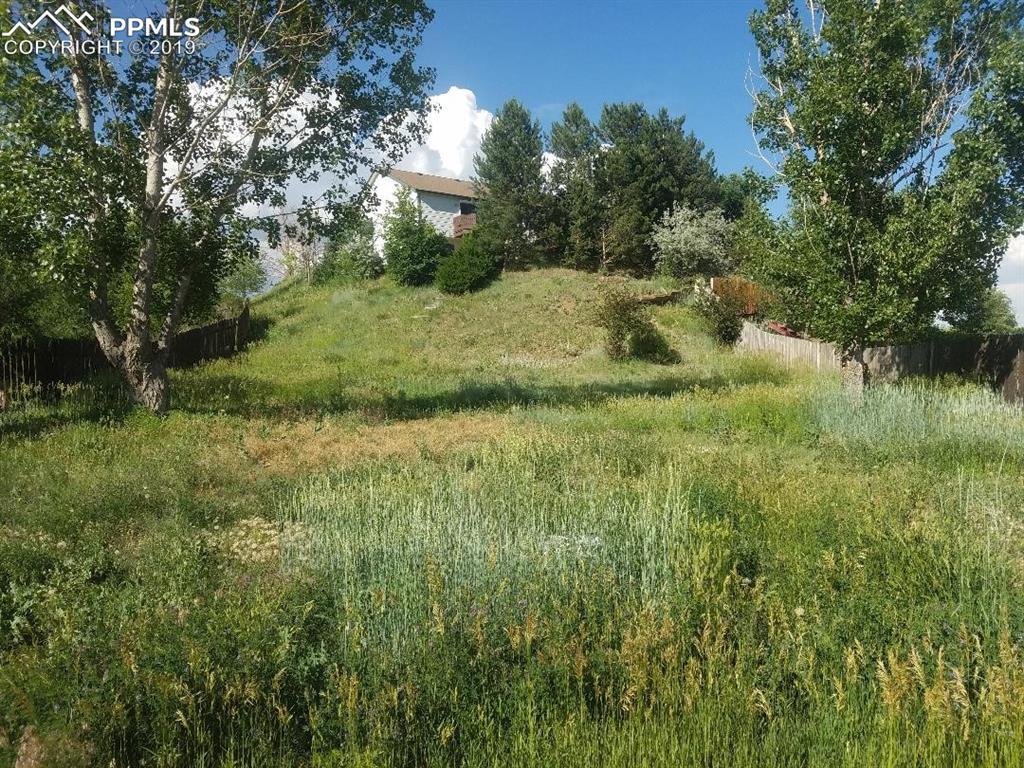 514 Kearney Avenue - Photo 1