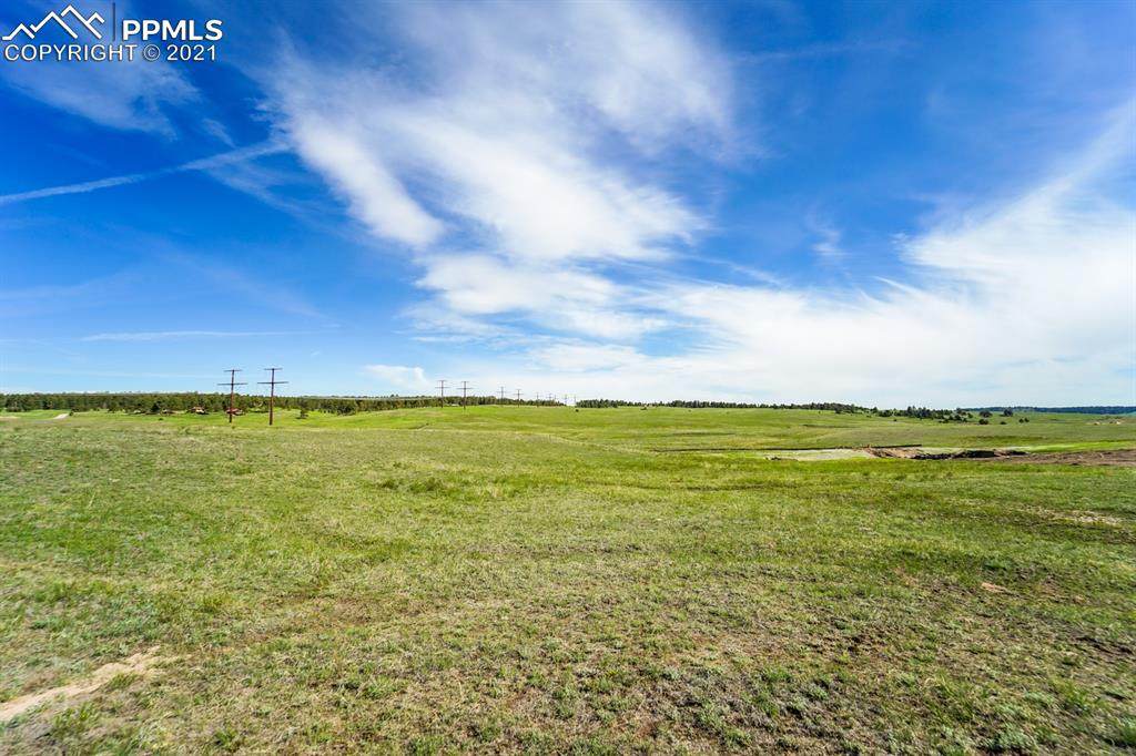 10878 Clove Hitch Court - Photo 1