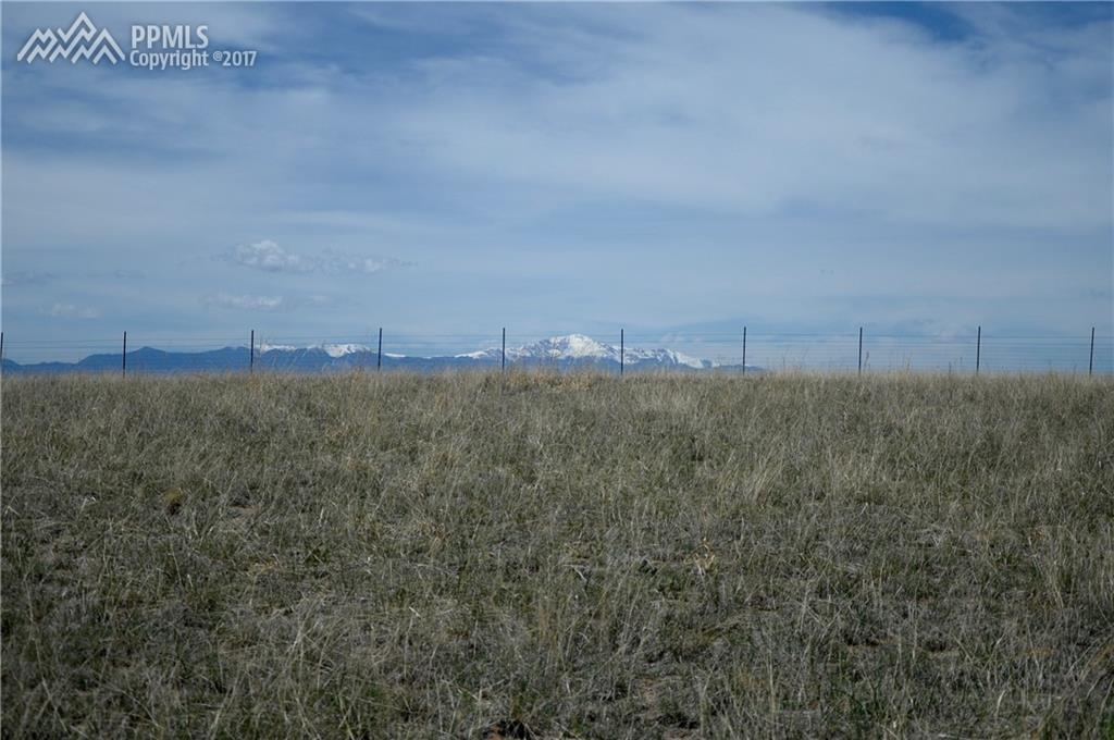 1150 Engleby Drive - Photo 1