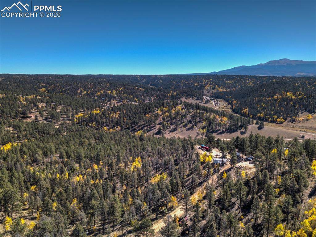 72 Buffalo Creek Trail - Photo 1