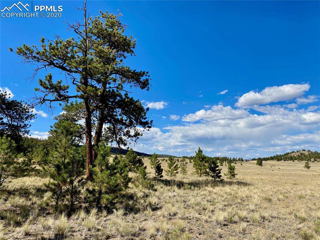 160 Huerfano Drive - Photo 1