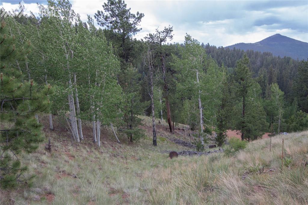 255 Idlewild Drive - Photo 1