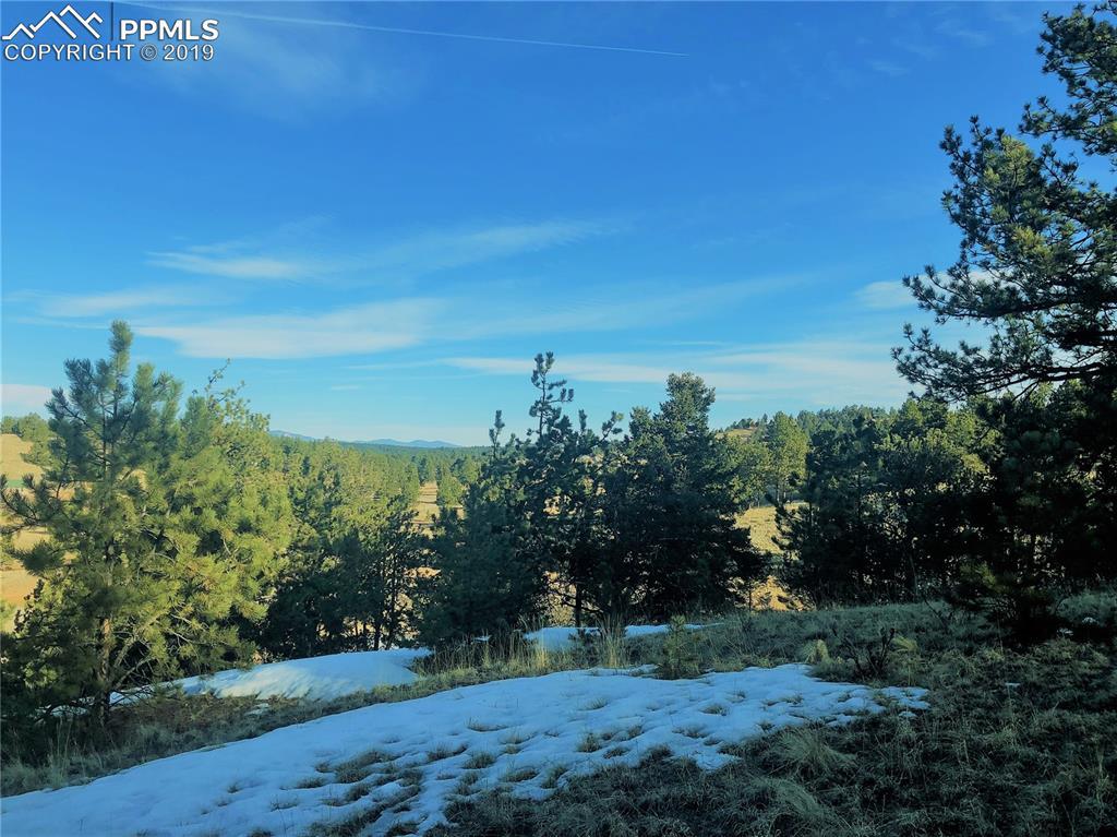 64 Indian Head Circle - Photo 1