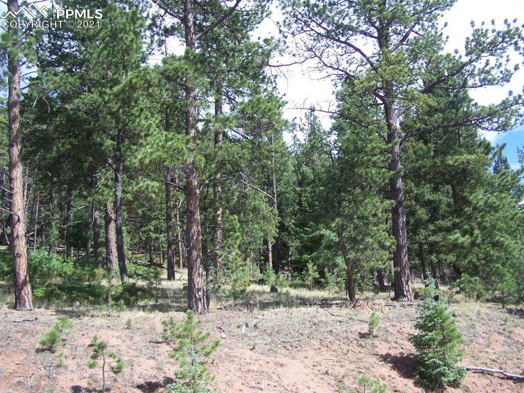 2403 Rampart Range Road - Photo 1