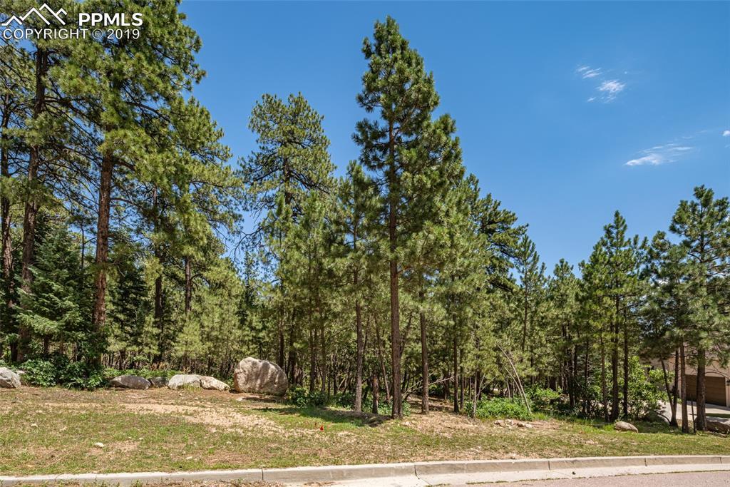 5767 Wellfleet Street - Photo 1