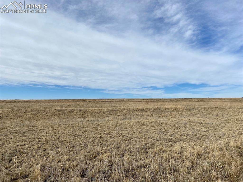 3780 Sengbeil Road - Photo 1