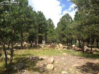 667 Silver Oak Grove - Photo 1