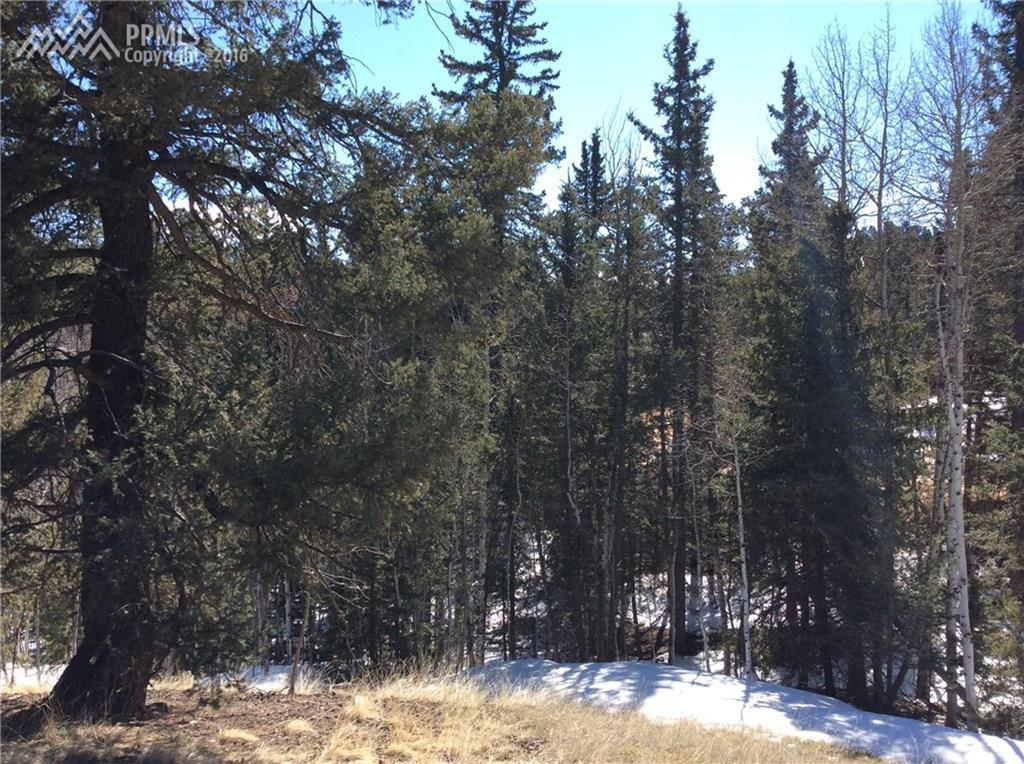 143 & 167 Mt. Powderhorn Lane - Photo 1